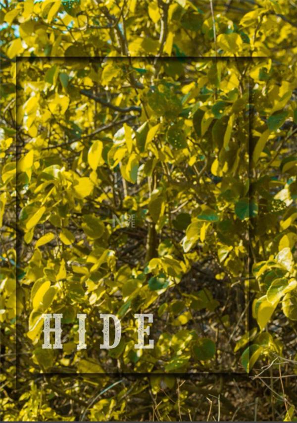 Whoseman-4-明星教練男丁格爾-芬達-全裸非全見寫真書